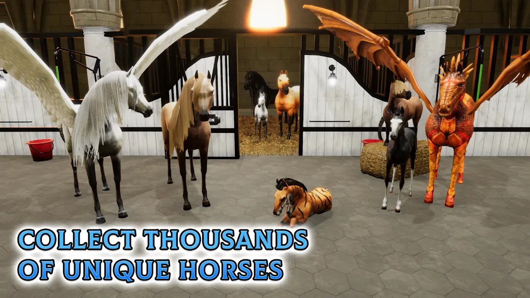Horse Academy - Equestrian MMO (Хорс Академи)  [МОД Много монет] Screenshot 5